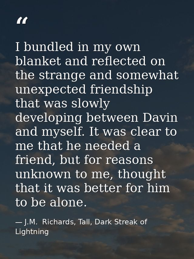 I bundled in my own blanket and reflected on the strange and somewhat unexpected friendship that was slowly developing b — J.M.  Richards, Tall, Dark Streak of Lightning