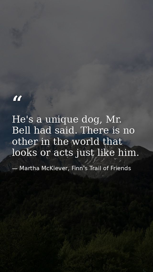 He's a unique dog, Mr. Bell had said. There is no other in the world that looks or acts just like him. — Martha McKiever, Finn's Trail of Friends