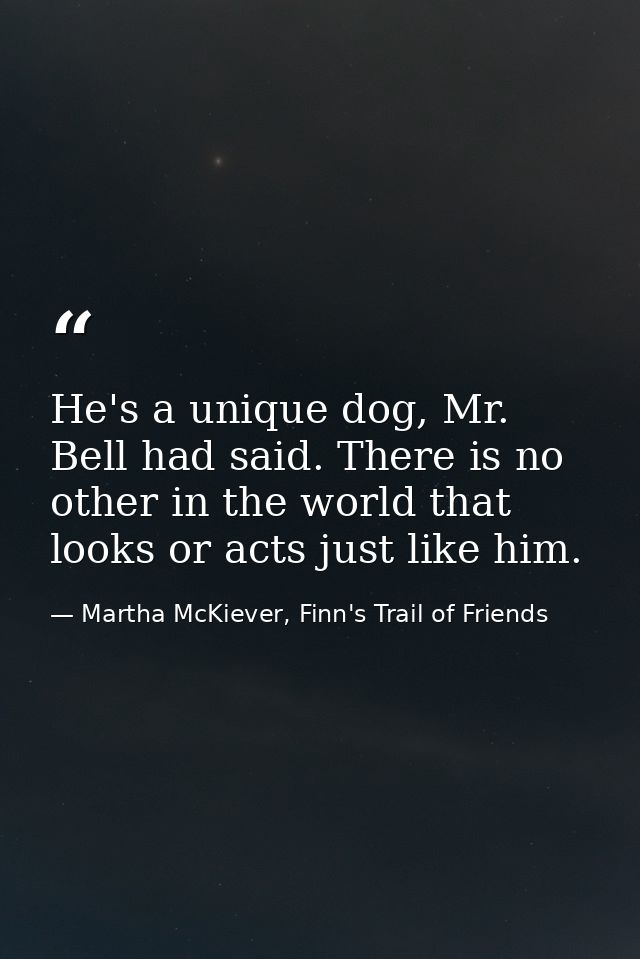He's a unique dog, Mr. Bell had said. There is no other in the world that looks or acts just like him. — Martha McKiever, Finn's Trail of Friends