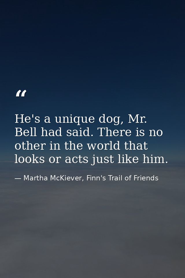 He's a unique dog, Mr. Bell had said. There is no other in the world that looks or acts just like him. — Martha McKiever, Finn's Trail of Friends