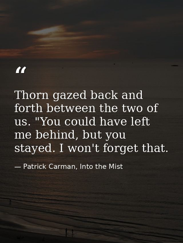 Thorn gazed back and forth between the two of us. "You could have left me behind, but you stayed. I won't forget that. — Patrick Carman, Into the Mist