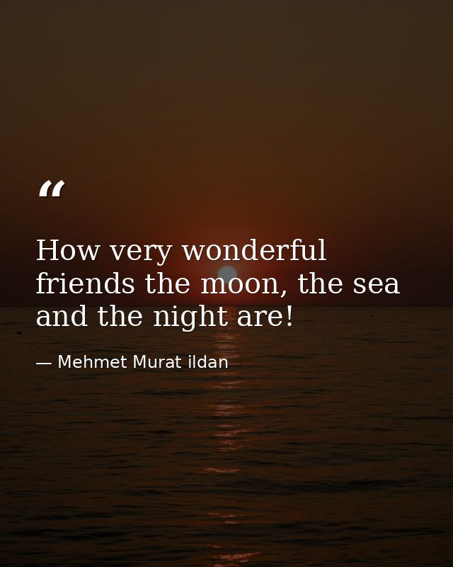 How very wonderful friends the moon, the sea and the night are! — Mehmet Murat ildan