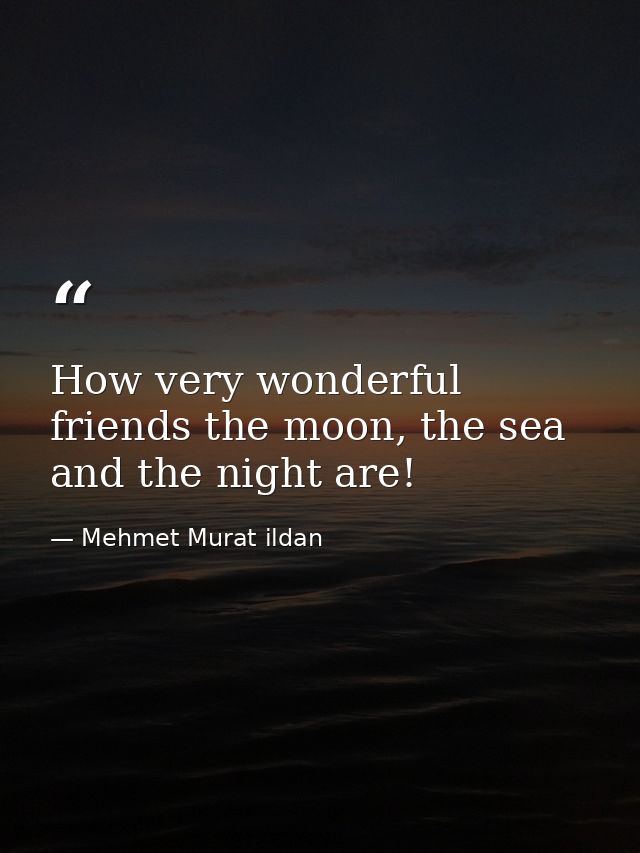 How very wonderful friends the moon, the sea and the night are! — Mehmet Murat ildan
