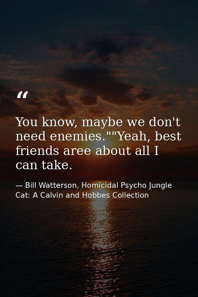 You know, maybe we don't need enemies.""Yeah, best friends aree about all I can take. — Bill Watterson, Homicidal Psycho Jungle Cat: A Calvin and Hobbes Collection