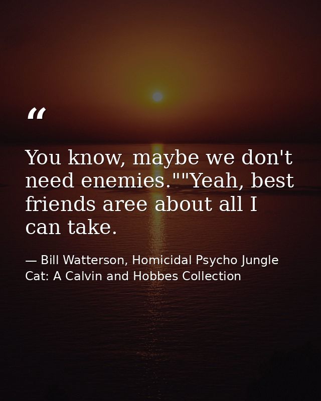 You know, maybe we don't need enemies.""Yeah, best friends aree about all I can take. — Bill Watterson, Homicidal Psycho Jungle Cat: A Calvin and Hobbes Collection