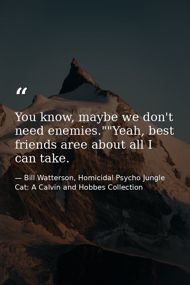 You know, maybe we don't need enemies.""Yeah, best friends aree about all I can take. — Bill Watterson, Homicidal Psycho Jungle Cat: A Calvin and Hobbes Collection