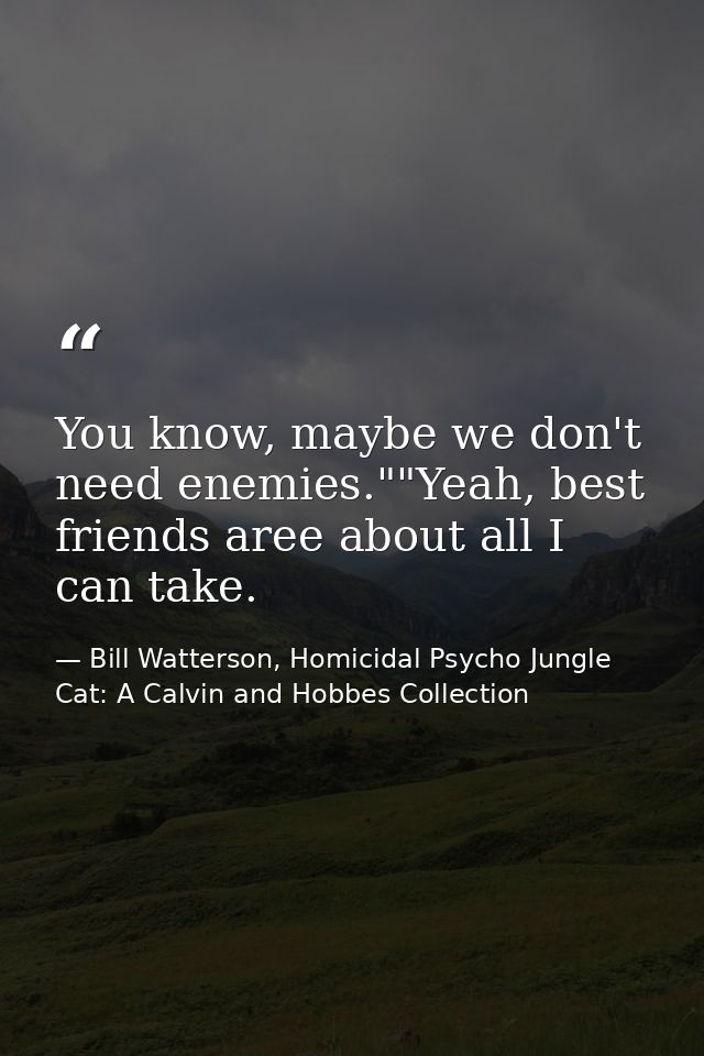 You know, maybe we don't need enemies.""Yeah, best friends aree about all I can take. — Bill Watterson, Homicidal Psycho Jungle Cat: A Calvin and Hobbes Collection