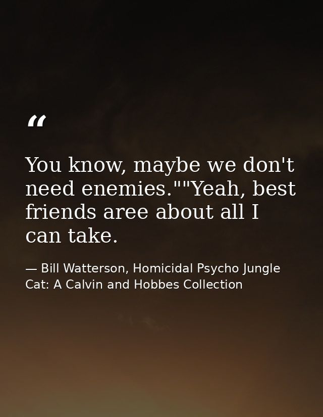 You know, maybe we don't need enemies.""Yeah, best friends aree about all I can take. — Bill Watterson, Homicidal Psycho Jungle Cat: A Calvin and Hobbes Collection