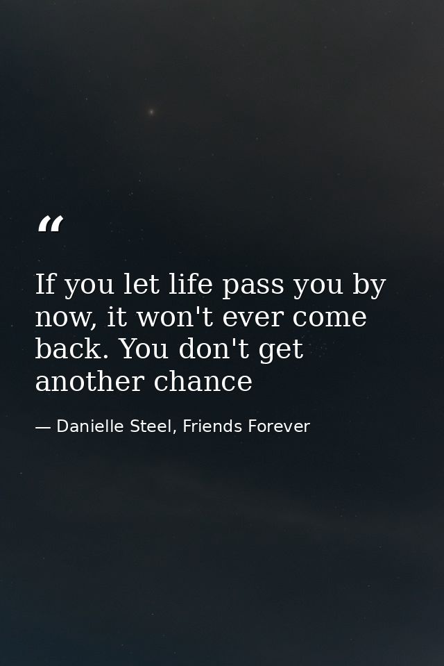 If you let life pass you by now, it won't ever come back. You don't get another chance — Danielle Steel, Friends Forever