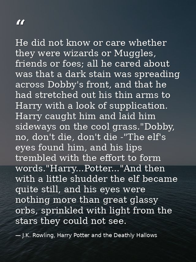 He did not know or care whether they were wizards or Muggles, friends or foes; all he cared about was that a dark stain  — J.K. Rowling, Harry Potter and the Deathly Hallows