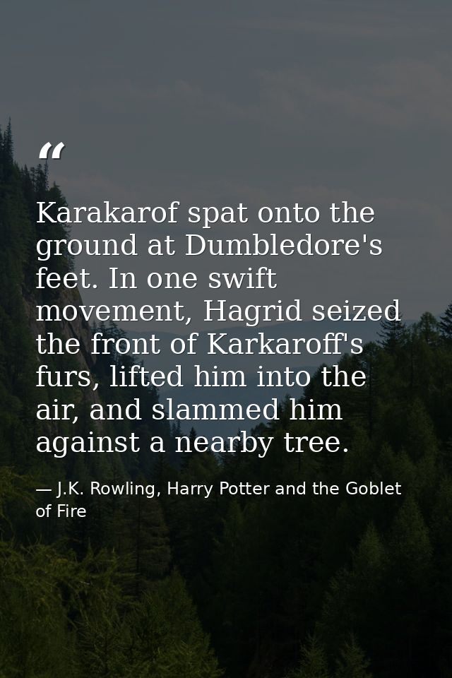 Karakarof spat onto the ground at Dumbledore's feet. In one swift movement, Hagrid seized the front of Karkaroff's furs, — J.K. Rowling, Harry Potter and the Goblet of Fire