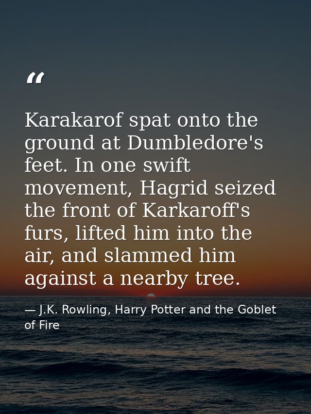 Karakarof spat onto the ground at Dumbledore's feet. In one swift movement, Hagrid seized the front of Karkaroff's furs, — J.K. Rowling, Harry Potter and the Goblet of Fire