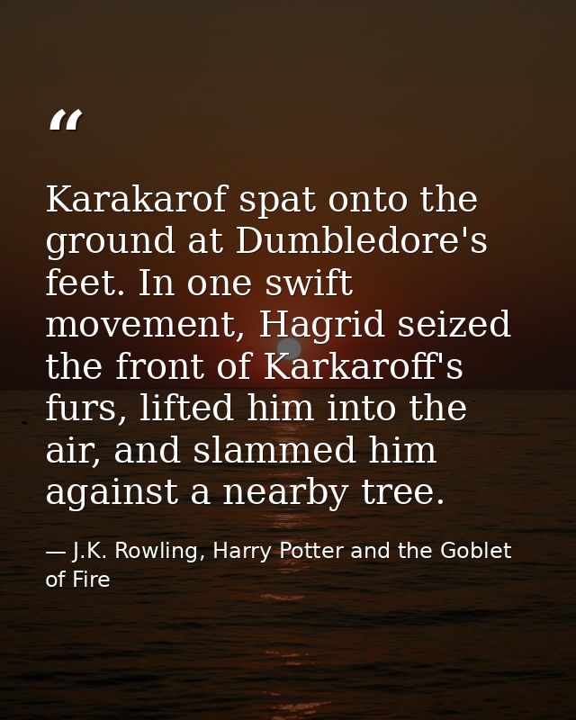 Karakarof spat onto the ground at Dumbledore's feet. In one swift movement, Hagrid seized the front of Karkaroff's furs, — J.K. Rowling, Harry Potter and the Goblet of Fire