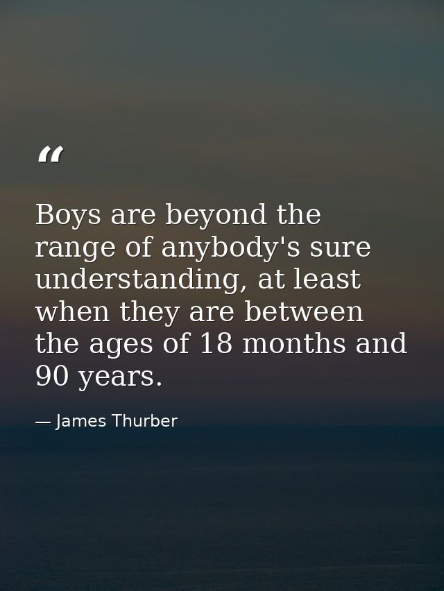 Boys are beyond the range of anybody's sure understanding, at least when they are between the ages of 18 months and 90 y — James Thurber