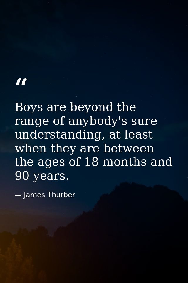 Boys are beyond the range of anybody's sure understanding, at least when they are between the ages of 18 months and 90 y — James Thurber