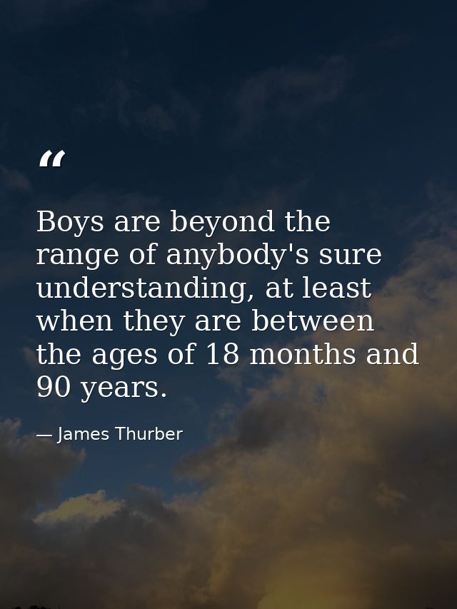 Boys are beyond the range of anybody's sure understanding, at least when they are between the ages of 18 months and 90 y — James Thurber