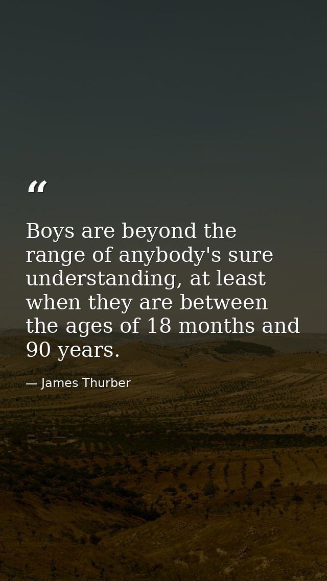 Boys are beyond the range of anybody's sure understanding, at least when they are between the ages of 18 months and 90 y — James Thurber