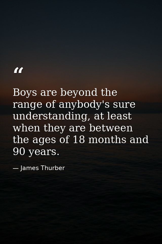 Boys are beyond the range of anybody's sure understanding, at least when they are between the ages of 18 months and 90 y — James Thurber