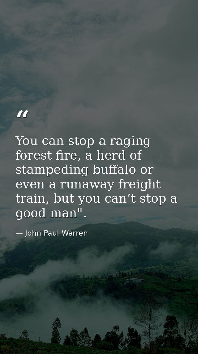 You can stop a raging forest fire, a herd of stampeding buffalo or even a runaway freight train, but you can’t stop a go — John Paul Warren