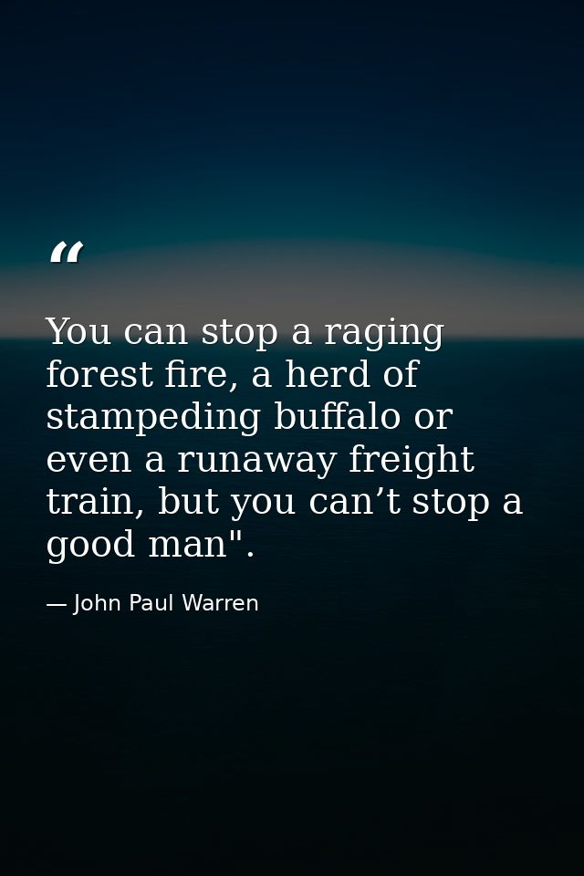 You can stop a raging forest fire, a herd of stampeding buffalo or even a runaway freight train, but you can’t stop a go — John Paul Warren