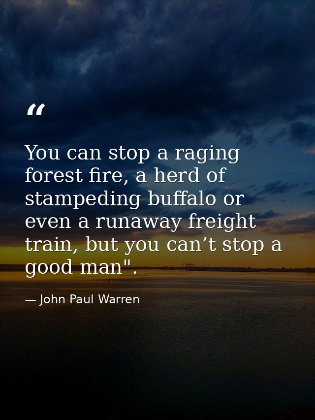 You can stop a raging forest fire, a herd of stampeding buffalo or even a runaway freight train, but you can’t stop a go — John Paul Warren
