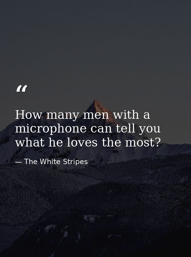 How many men with a microphone can tell you what he loves the most? — The White Stripes