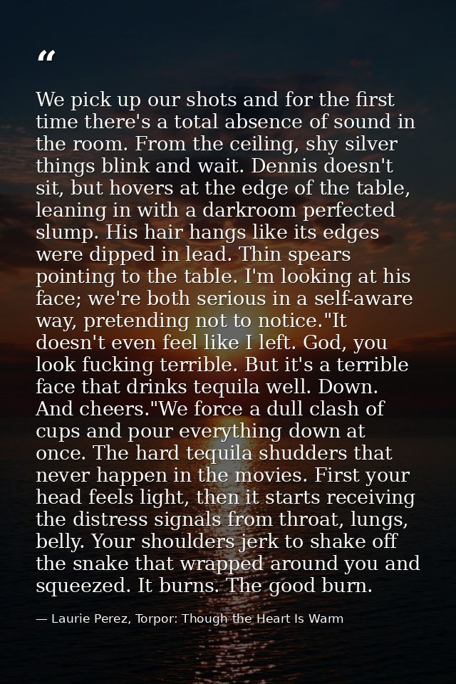 We pick up our shots and for the first time there's a total absence of sound in the room. From the ceiling, shy silver t — Laurie Perez, Torpor: Though the Heart Is Warm