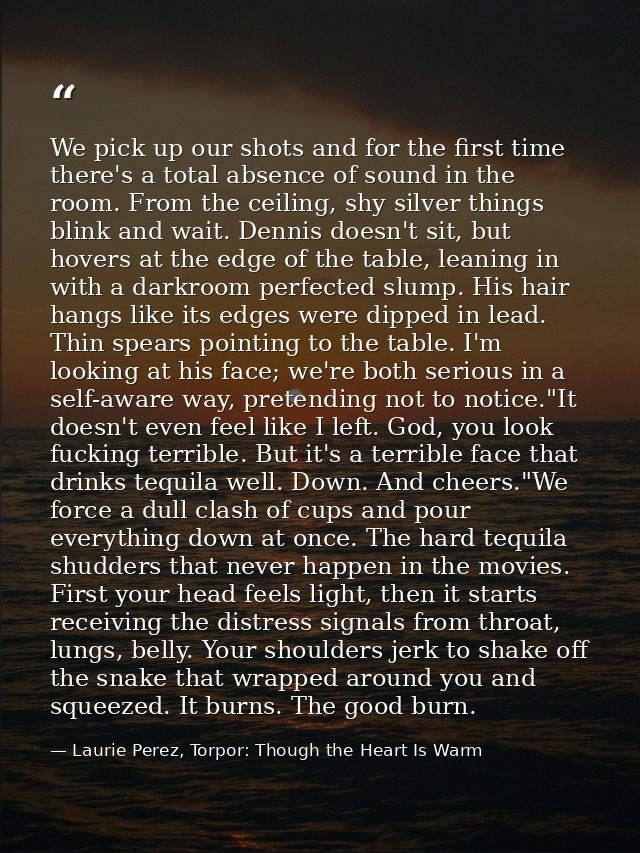 We pick up our shots and for the first time there's a total absence of sound in the room. From the ceiling, shy silver t — Laurie Perez, Torpor: Though the Heart Is Warm