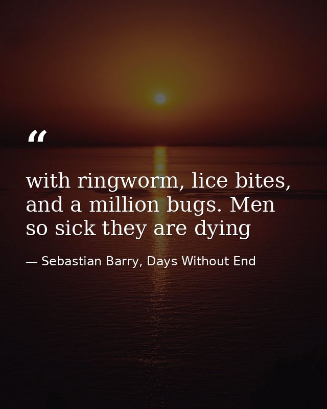with ringworm, lice bites, and a million bugs. Men so sick they are dying — Sebastian Barry, Days Without End