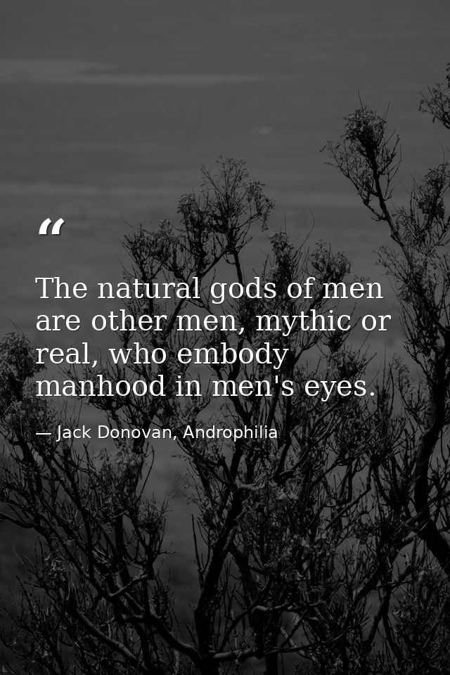 The natural gods of men are other men, mythic or real, who embody manhood in men's eyes. — Jack Donovan, Androphilia