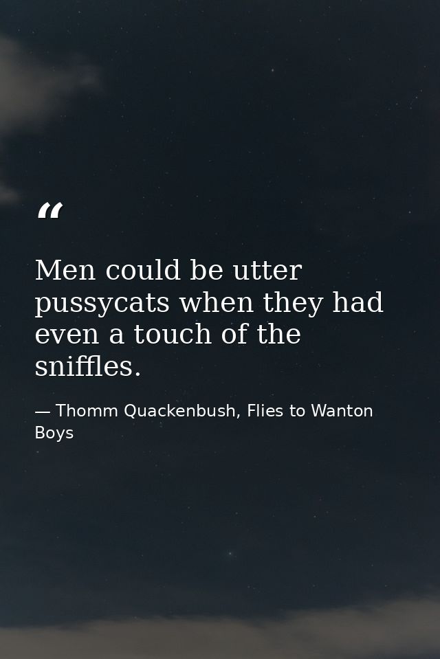 Men could be utter pussycats when they had even a touch of the sniffles. — Thomm Quackenbush, Flies to Wanton Boys