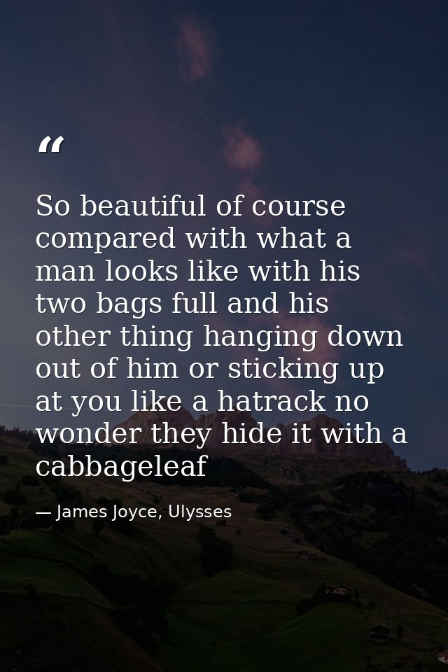 So beautiful of course compared with what a man looks like with his two bags full and his other thing hanging down out o — James Joyce, Ulysses