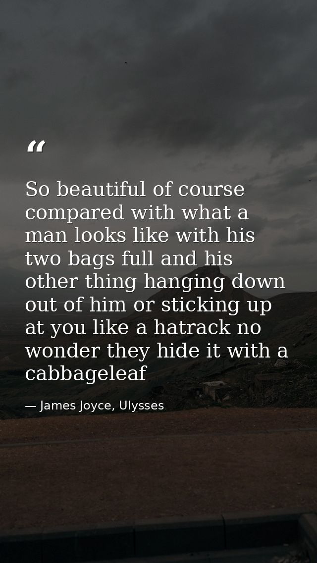 So beautiful of course compared with what a man looks like with his two bags full and his other thing hanging down out o — James Joyce, Ulysses