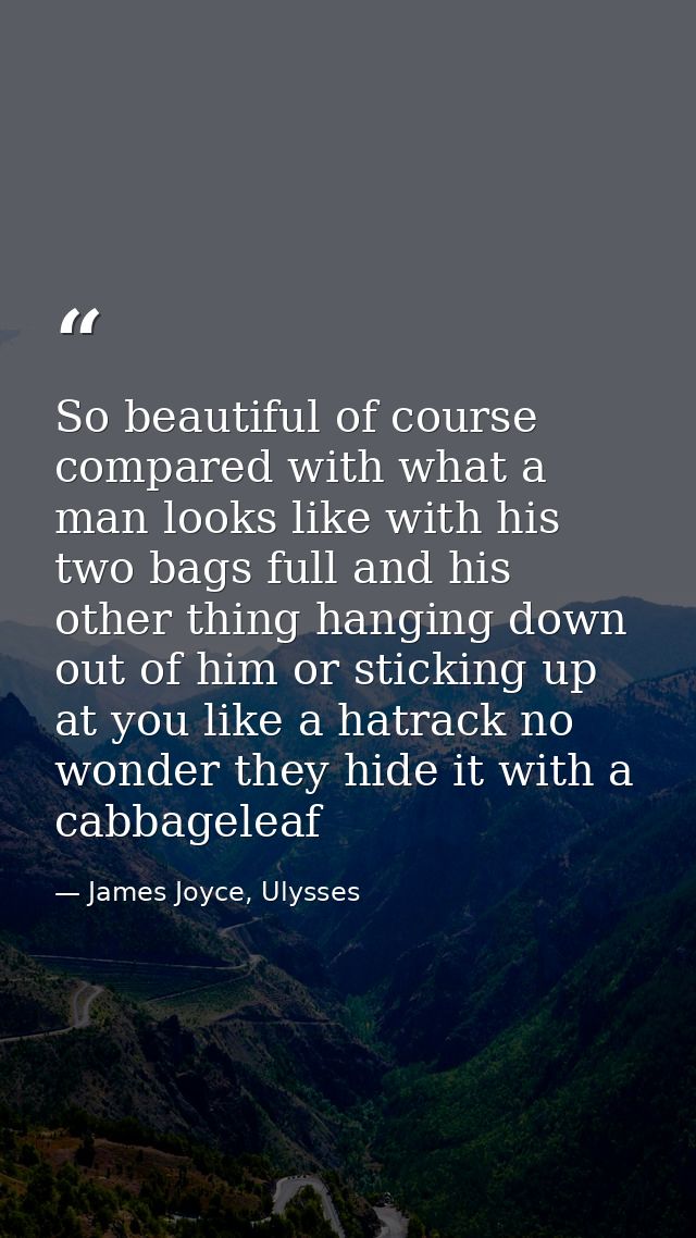 So beautiful of course compared with what a man looks like with his two bags full and his other thing hanging down out o — James Joyce, Ulysses