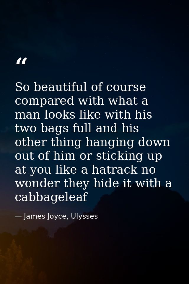 So beautiful of course compared with what a man looks like with his two bags full and his other thing hanging down out o — James Joyce, Ulysses