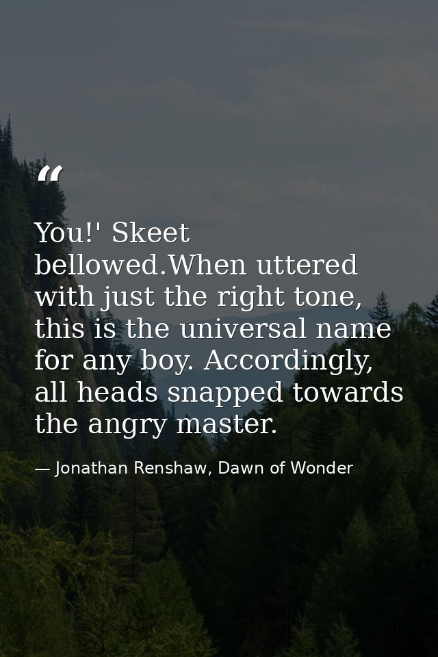 You!' Skeet bellowed.When uttered with just the right tone, this is the universal name for any boy. Accordingly, all hea — Jonathan Renshaw, Dawn of Wonder
