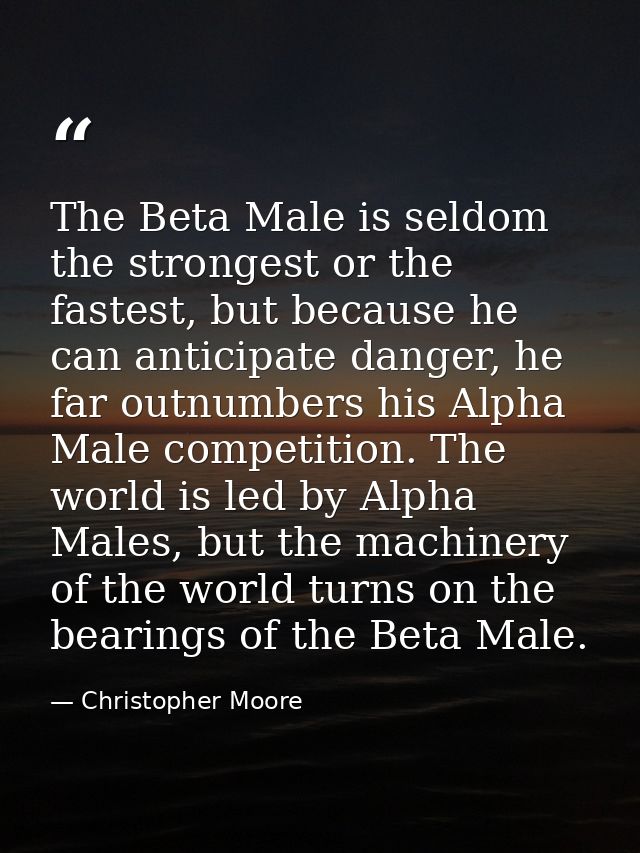 The Beta Male is seldom the strongest or the fastest, but because he can anticipate danger, he far outnumbers his Alpha  — Christopher Moore