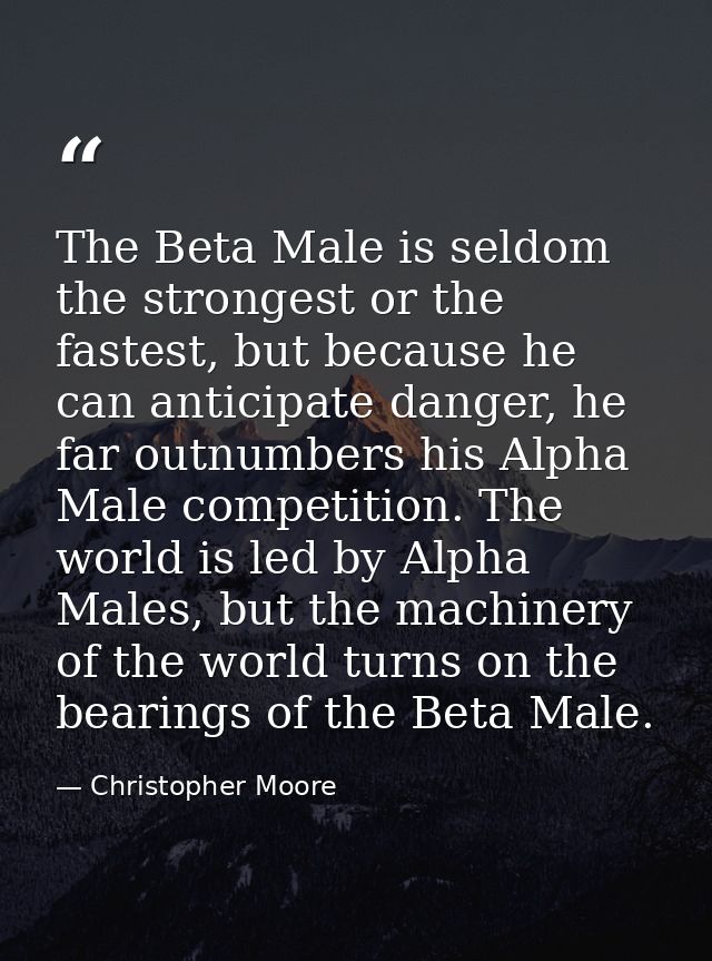 The Beta Male is seldom the strongest or the fastest, but because he can anticipate danger, he far outnumbers his Alpha  — Christopher Moore