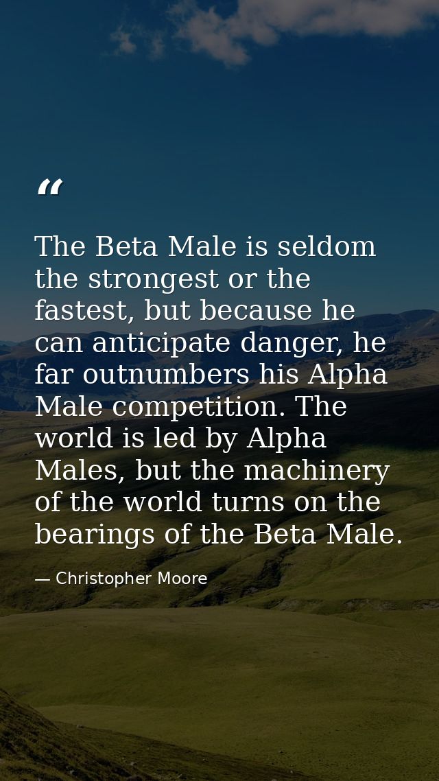 The Beta Male is seldom the strongest or the fastest, but because he can anticipate danger, he far outnumbers his Alpha  — Christopher Moore