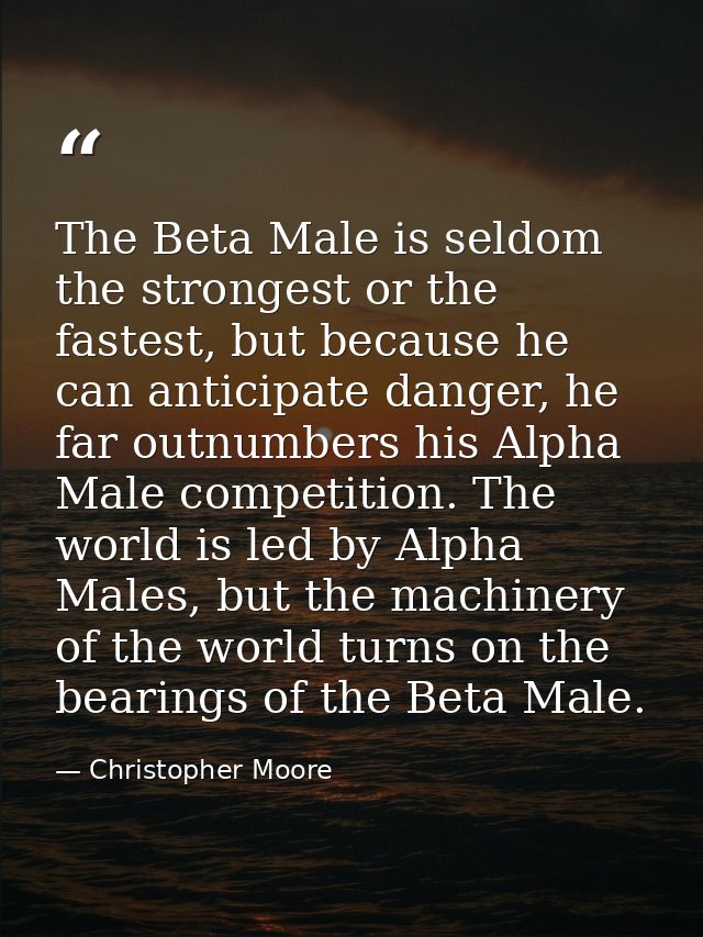 The Beta Male is seldom the strongest or the fastest, but because he can anticipate danger, he far outnumbers his Alpha  — Christopher Moore