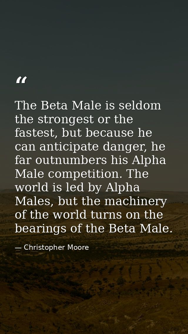 The Beta Male is seldom the strongest or the fastest, but because he can anticipate danger, he far outnumbers his Alpha  — Christopher Moore
