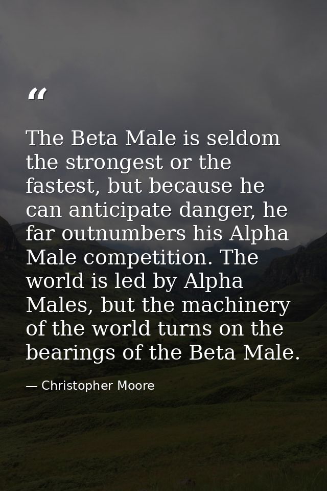 The Beta Male is seldom the strongest or the fastest, but because he can anticipate danger, he far outnumbers his Alpha  — Christopher Moore