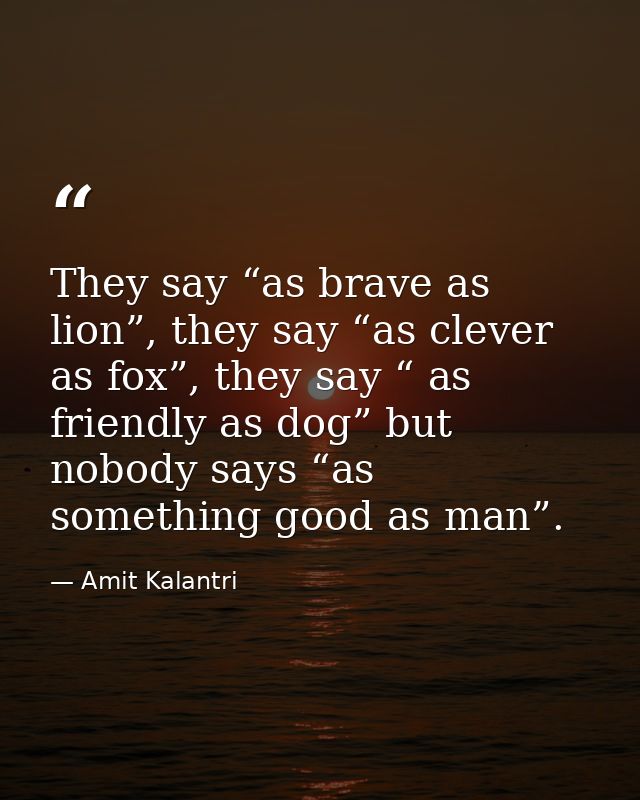They say “as brave as lion”, they say “as clever as fox”, they say “ as friendly as dog” but nobody says “as something g — Amit Kalantri