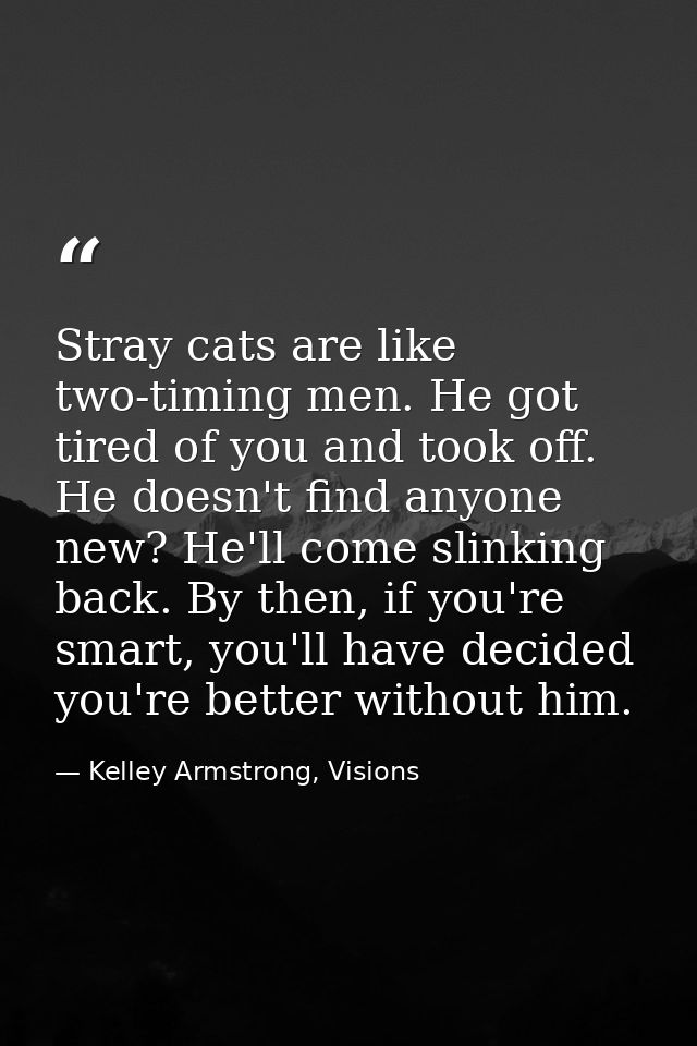 Stray cats are like two-timing men. He got tired of you and took off. He doesn't find anyone new? He'll come slinking ba — Kelley Armstrong, Visions