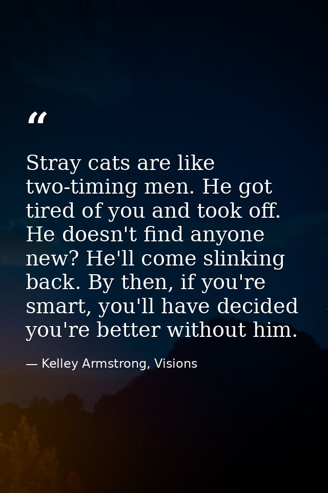 Stray cats are like two-timing men. He got tired of you and took off. He doesn't find anyone new? He'll come slinking ba — Kelley Armstrong, Visions