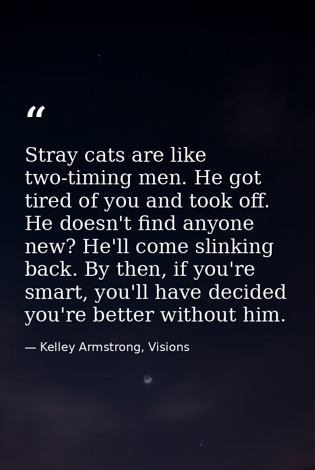 Stray cats are like two-timing men. He got tired of you and took off. He doesn't find anyone new? He'll come slinking ba — Kelley Armstrong, Visions