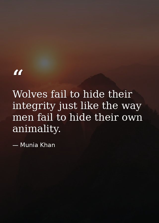 Wolves fail to hide their integrity just like the way men fail to hide their own animality. — Munia Khan