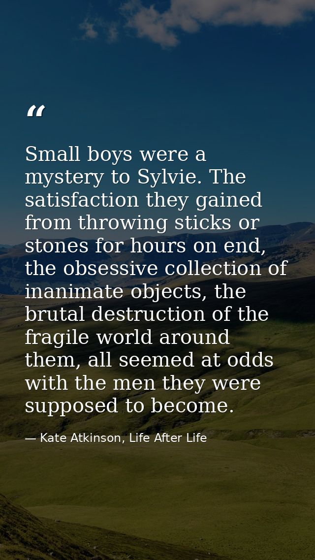 Small boys were a mystery to Sylvie. The satisfaction they gained from throwing sticks or stones for hours on end, the o — Kate Atkinson, Life After Life
