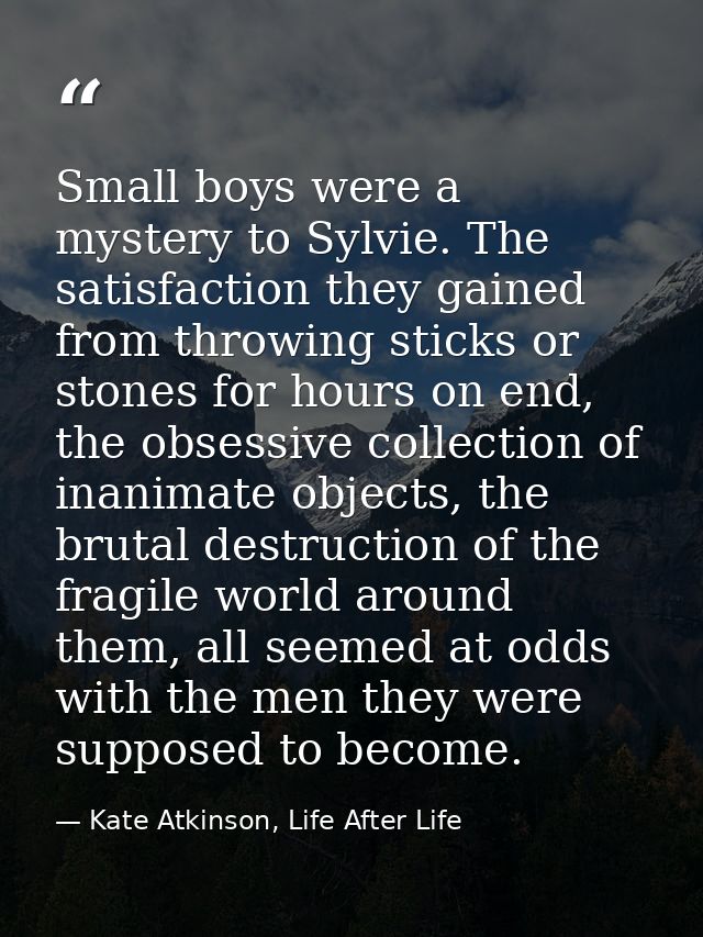 Small boys were a mystery to Sylvie. The satisfaction they gained from throwing sticks or stones for hours on end, the o — Kate Atkinson, Life After Life
