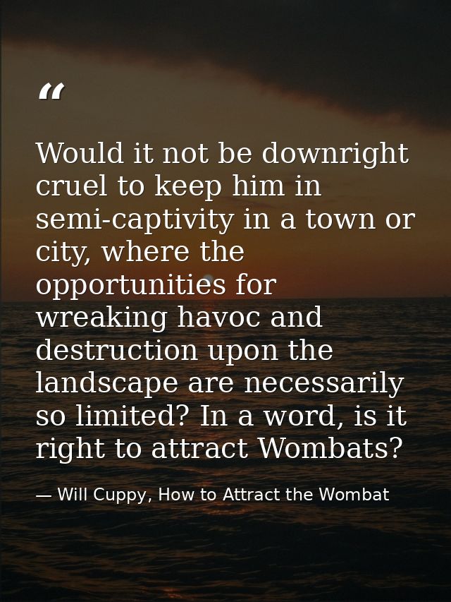 Would it not be downright cruel to keep him in semi-captivity in a town or city, where the opportunities for wreaking ha — Will Cuppy, How to Attract the Wombat